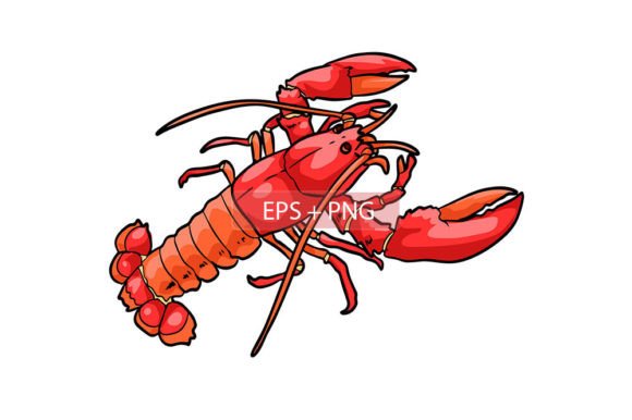 Bringing Marine Life to Your Design Projects