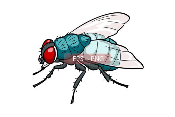 Flies Insect Animal Illustration: A Versatile Asset for Creative Projects