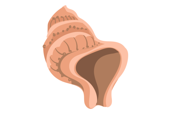 Marine Shell Animal Icon: The Seashell Cute Design Asset