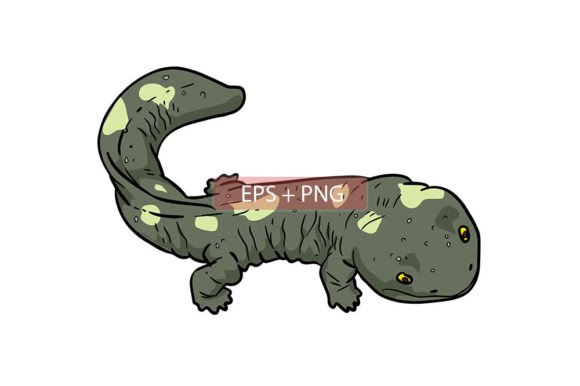Salamander Lizard Illustration: A Vibrant Vector Asset for Creative Projects