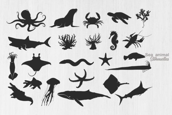 Sea Animal Silhouette: Ocean Animal SVG for Modern Design
