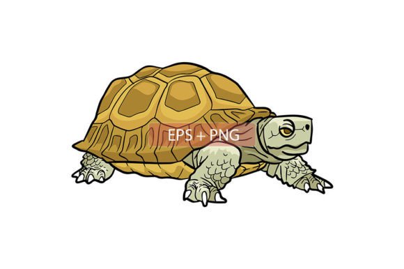 Tortoise Animal Illustration: A Versatile Asset for Creative Projects
